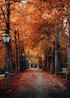 Ilustración tarde de octubre