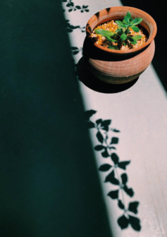 Ilustración digital cocina verde