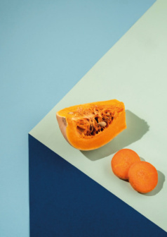 Ilustración digital geometría natural