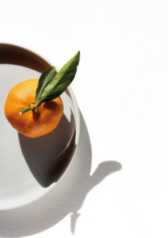 Ilustración digital sombra de mandarina